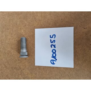 BMW 501/502 Barockengel/3200 CS Bertone Radbolzen